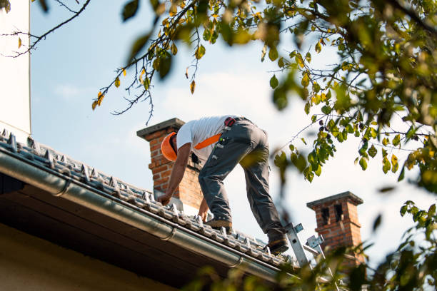 Best Roof Waterproofing Services  in Hiawatha, KS