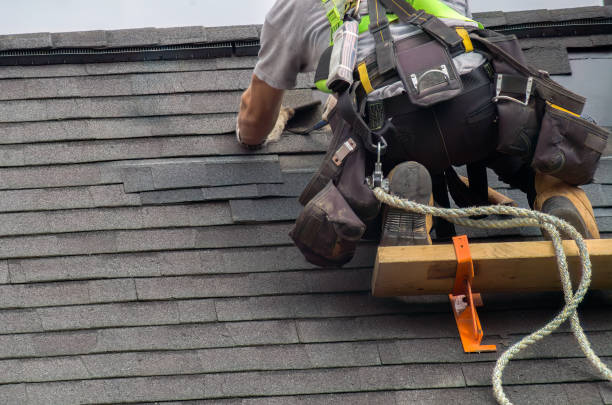 Best Local Roofing Companies  in Hiawatha, KS