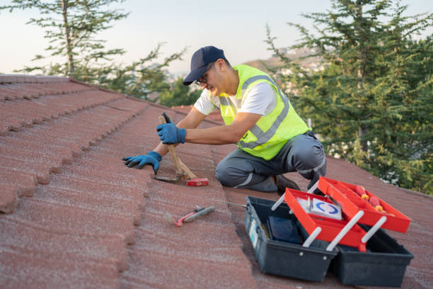 Roof Gutter Cleaning in Hiawatha, KS